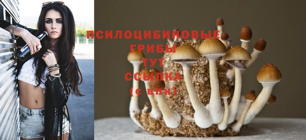 ешки Горно-Алтайск