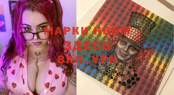 индика Горнозаводск