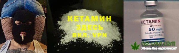 индика Горнозаводск
