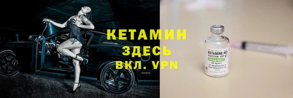 индика Горнозаводск