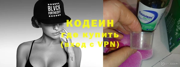 индика Горнозаводск