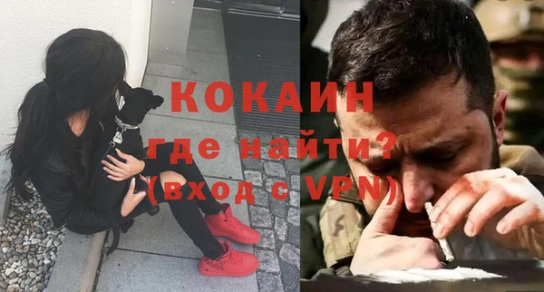 индика Горнозаводск