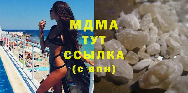 индика Горнозаводск