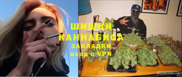 индика Горнозаводск