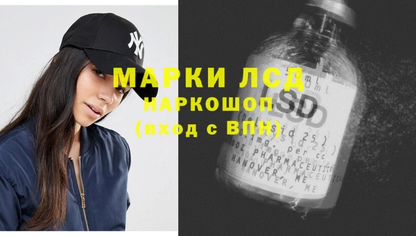 индика Горнозаводск
