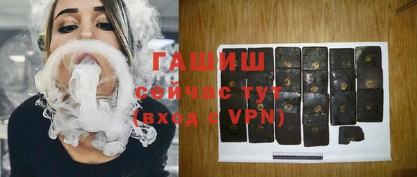 индика Горнозаводск