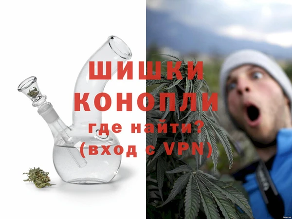 индика Горнозаводск