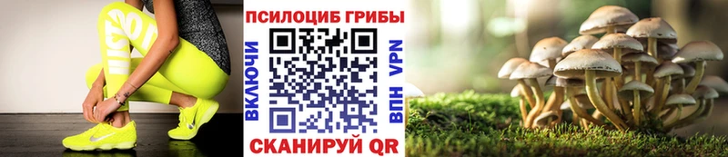 сколько стоит  Нерюнгри  Галлюциногенные грибы Psilocybine cubensis 