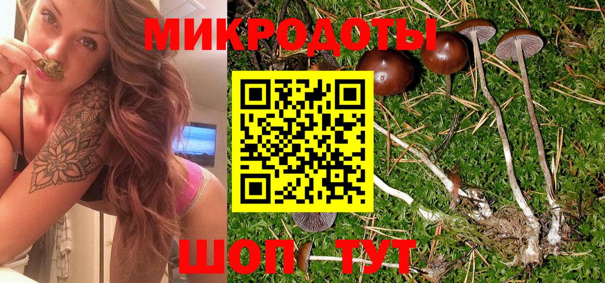 Галлюциногенные грибы ЛСД Нерюнгри